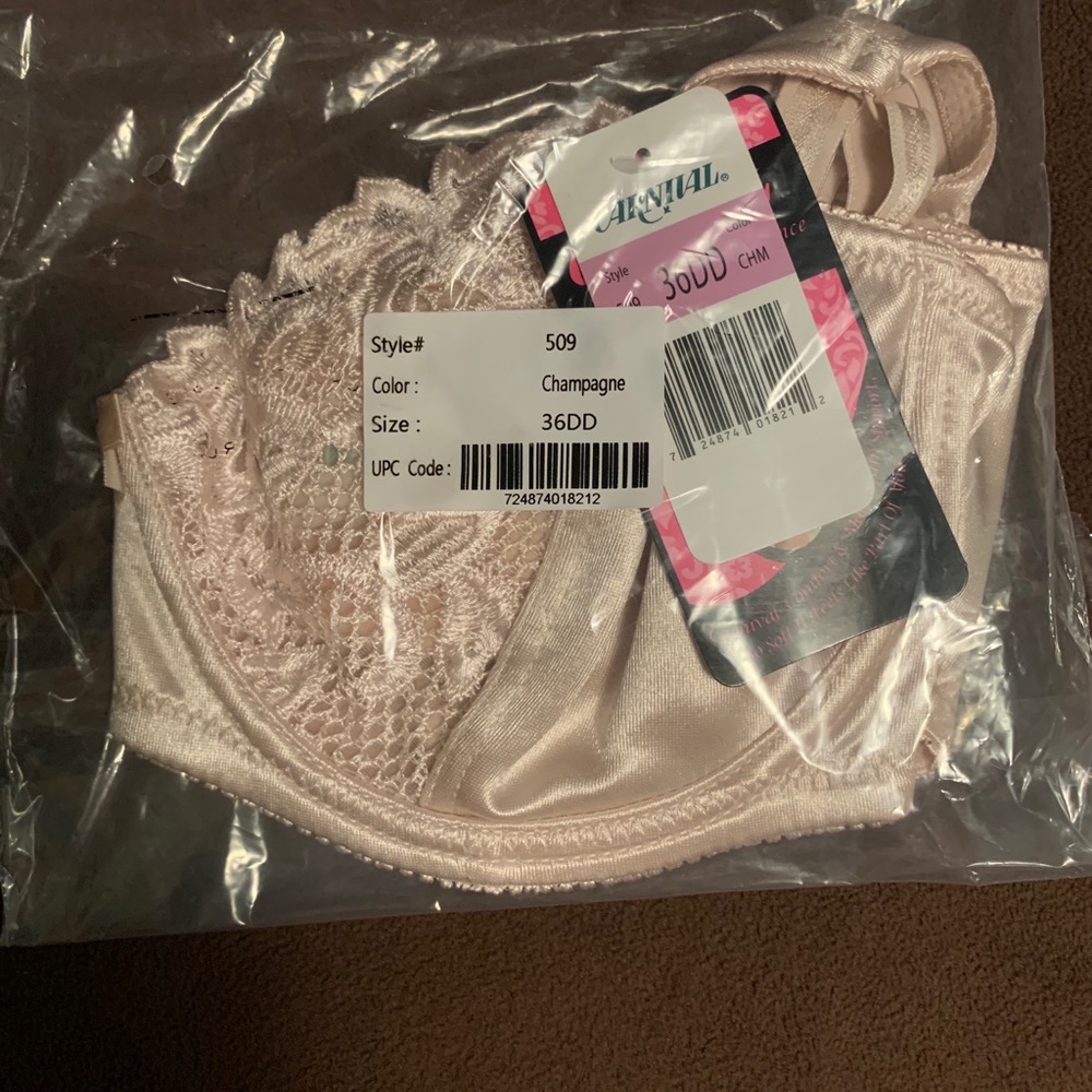 (2) Carnival minimizer bra’s 36DD
